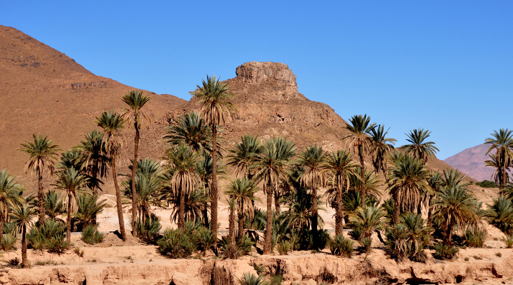 region souss massa